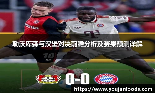 勒沃库森与汉堡对决前瞻分析及赛果预测详解